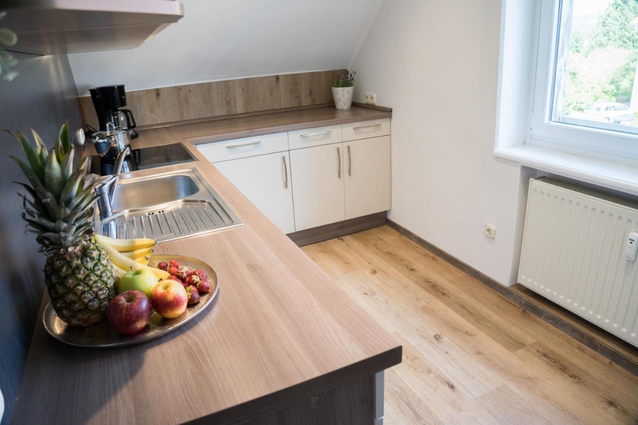 Urlaubsfreude Biedermann Haus Gluecksstein - Mondstein Apartment Bad Schandau Luaran gambar